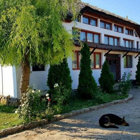 Casa Cu Flori Муригьол Экстерьер фото