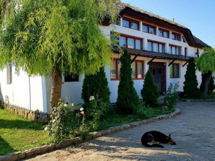 Casa Cu Flori Муригьол Экстерьер фото